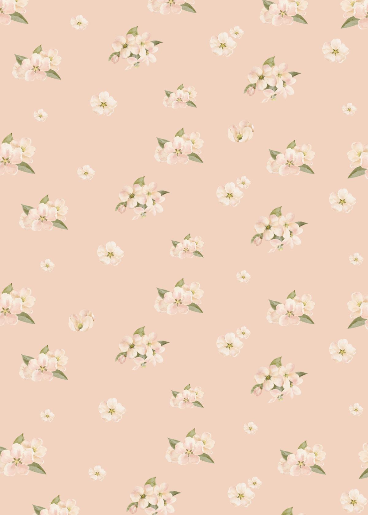 Carte - fleurs de pommiers poudré