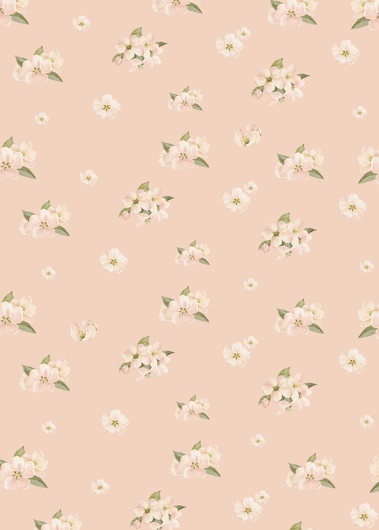 Carte - fleurs de pommiers poudré